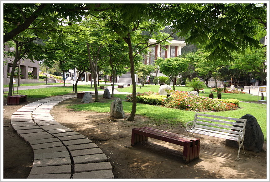  校園景像：樹蔭與石頭步道