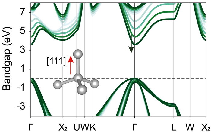 Fig1