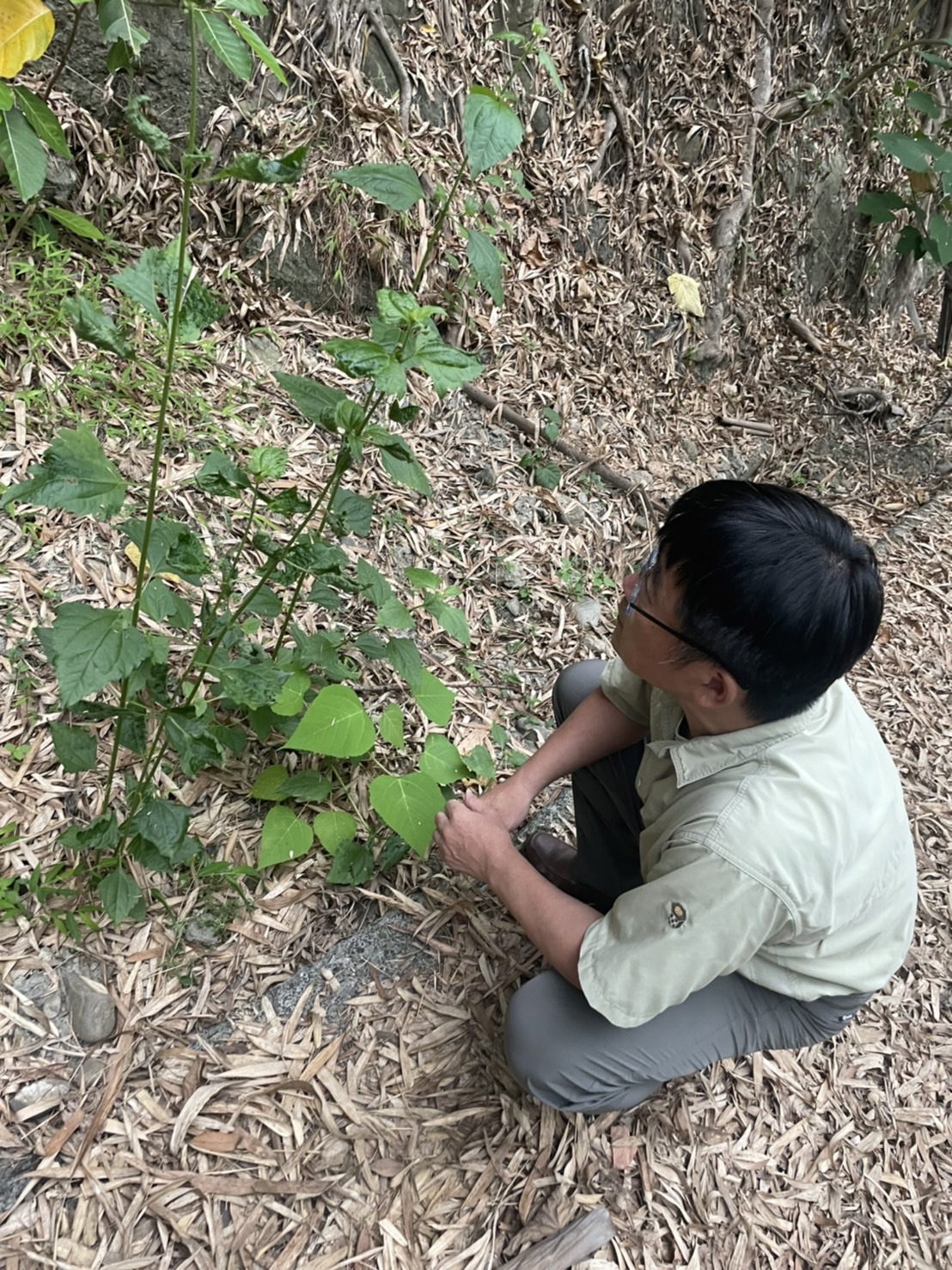 本校生物系教授兼研發長林宗岐老師團隊與光林智能科技(LEOTEK)愛迪生獎，首次參加即榮獲銅獎榮耀