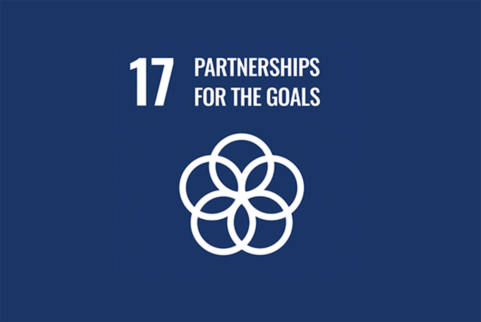 sdg17