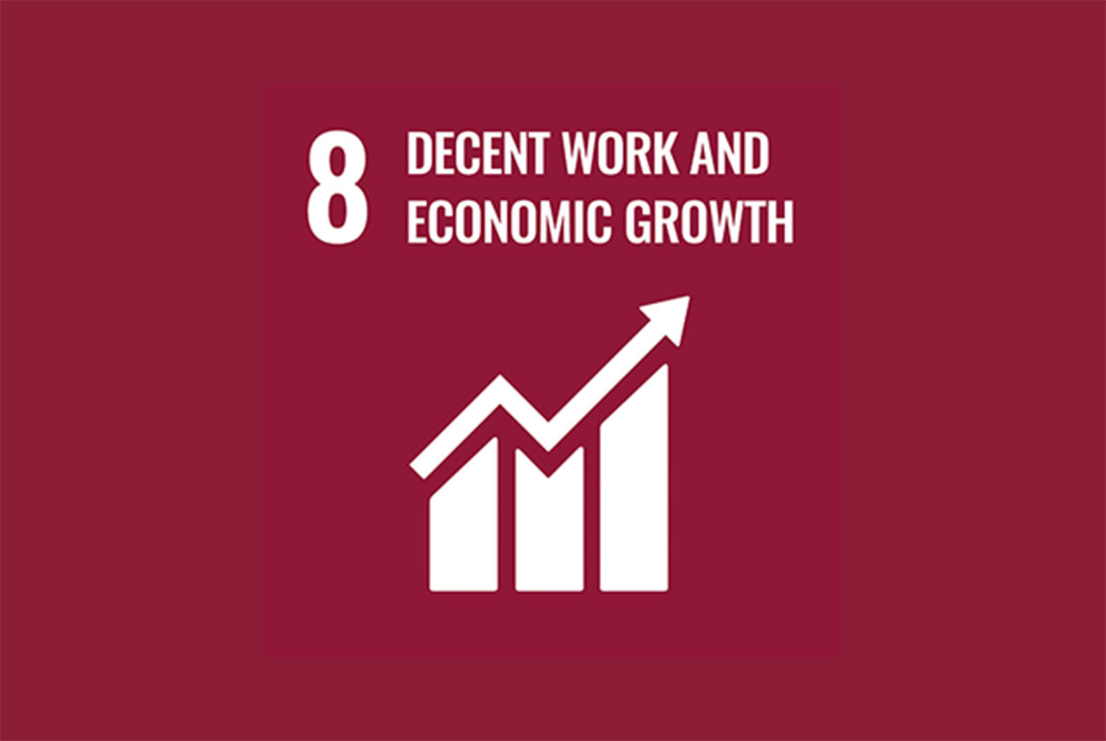 sdg8